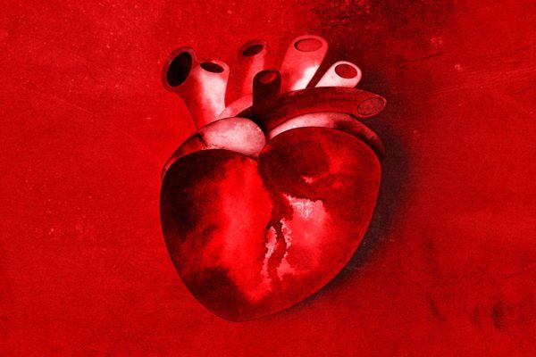 Καρδιακή ίνωση: Επιστήμονες εντοπίζουν γονίδιο που ελέγχει τις ουλές στην καρδιά