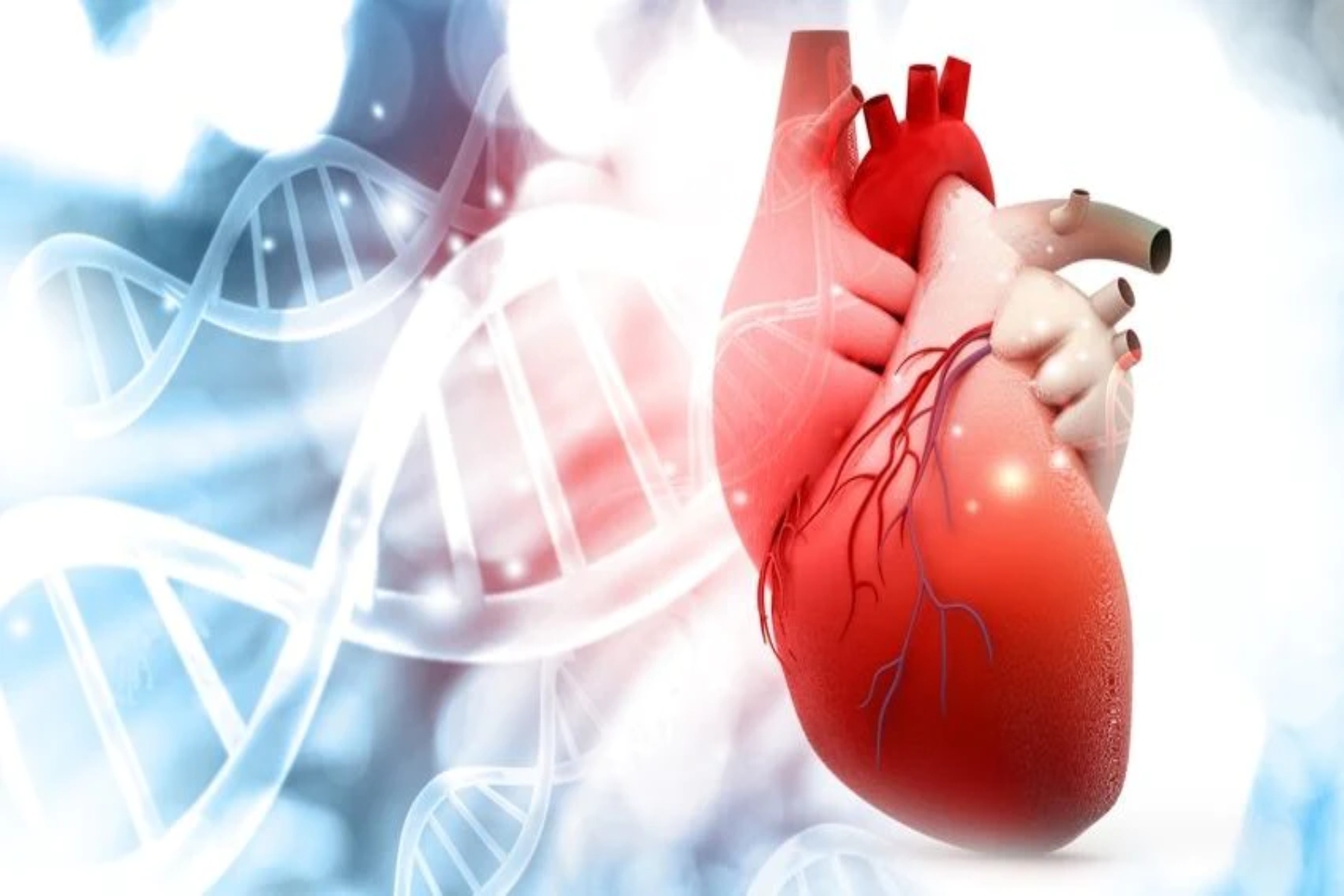 Προσδόκιμο ζωής: Προσδιορισμός οδών για την επιβράδυνση της καρδιακής γήρανσης