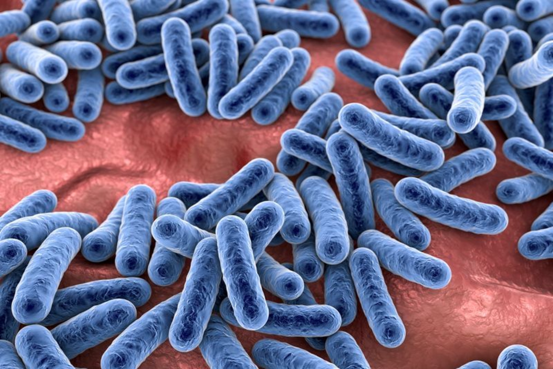Μικροβίωμα: Ο ρόλος των επιβλαβών βακτηρίων του εντέρου στον πυρετό ασθενών με καρκίνο