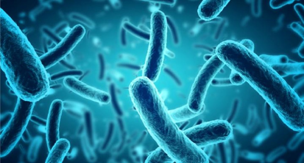 Μικροβίωμα: Επιστήμονες αναδεικνύουν τον ρόλο των επιβλαβών βακτηρίων του εντέρου στον πυρετό που πλήττει τους καρκινοπαθείς