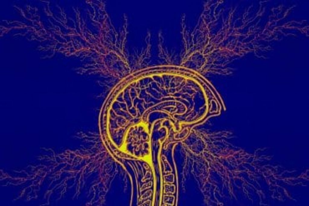 Τι μπορεί να κάνει η ωκυτοκίνη στον εγκέφαλο; 