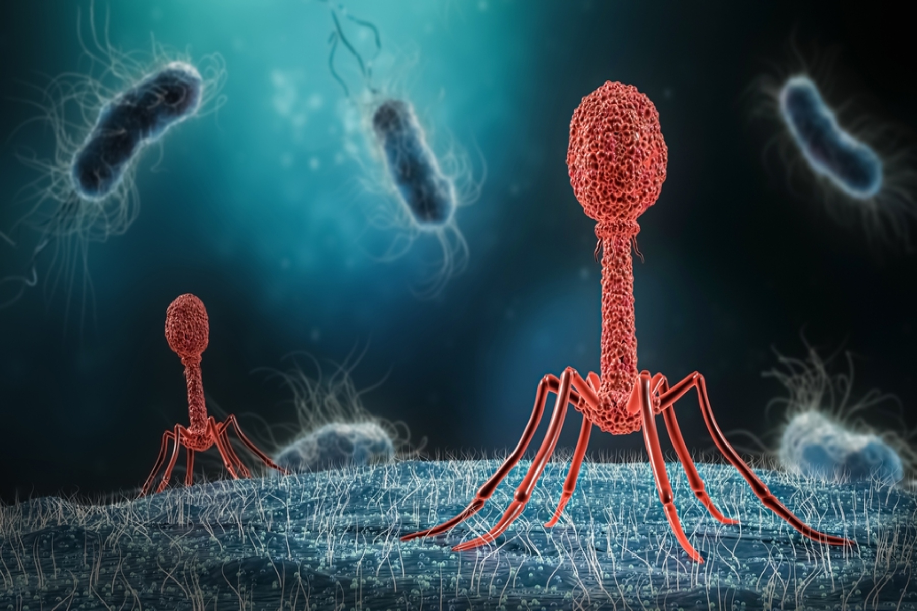 Βακτήρια: Τι είναι τα βακτήρια και πότε προκαλούν ασθένεια;