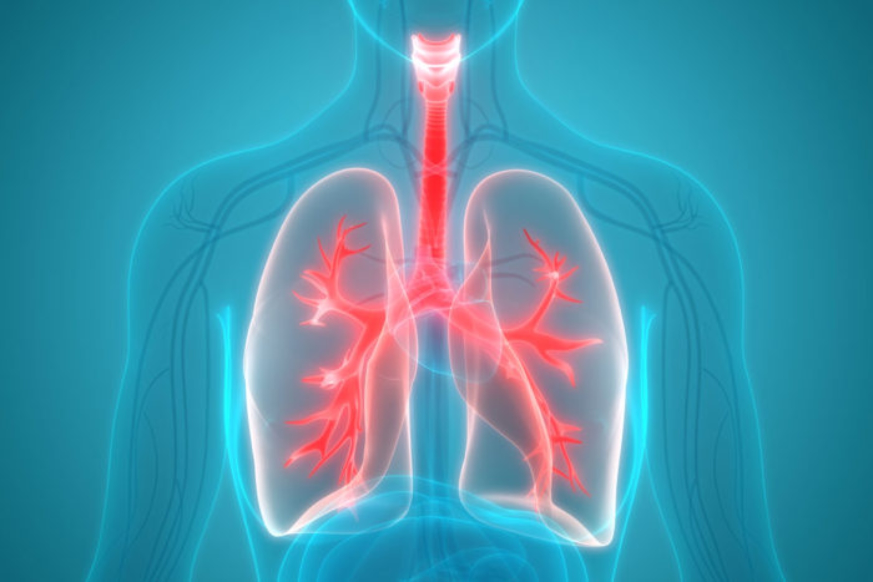 Πνεύμονες: Αλλάζει ο τρόπος μεταμόσχευσης των πνευμόνων