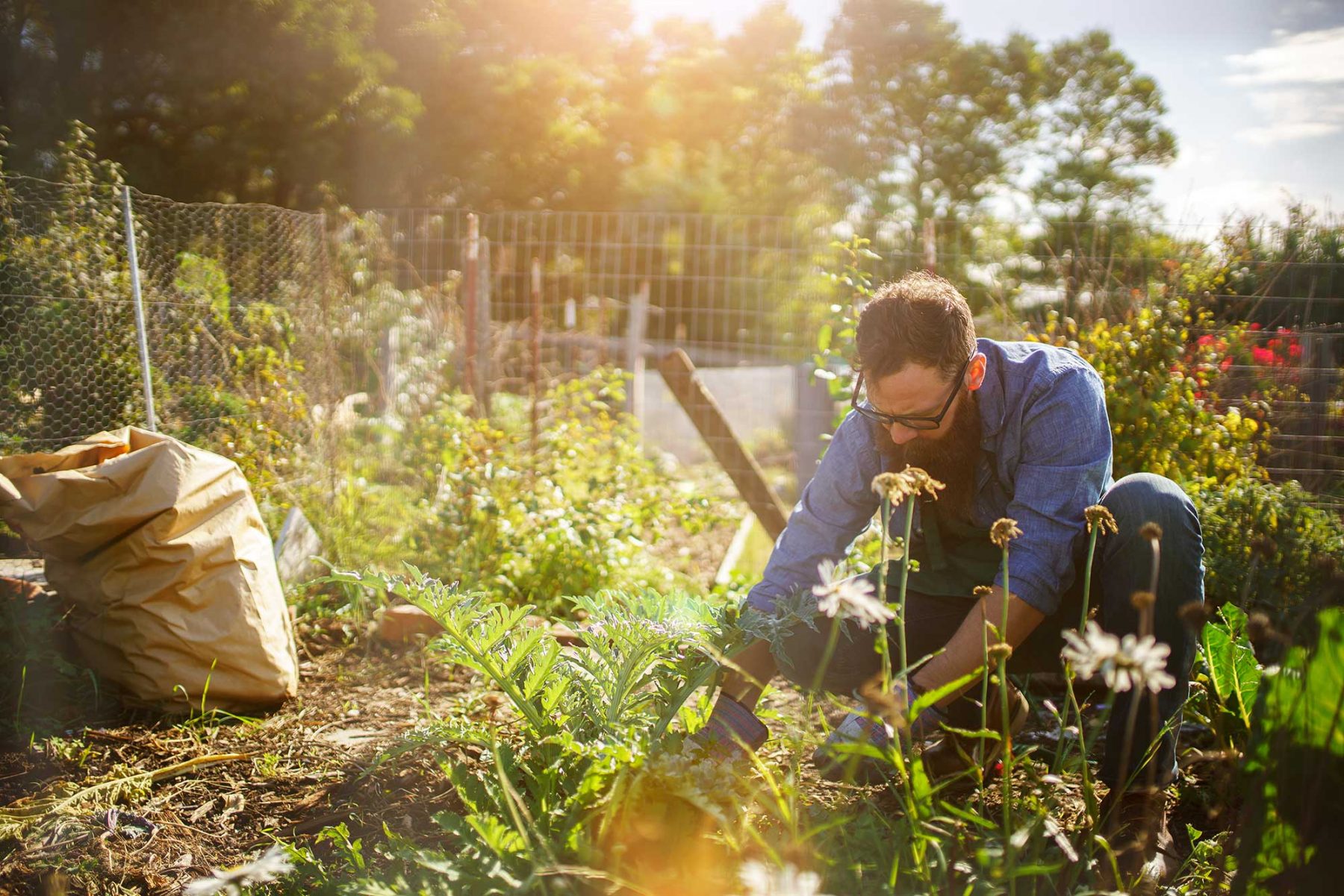 Κηπουρική: Μειώνει τον κίνδυνο καρκίνου & ενισχύει την ψυχική υγεία
