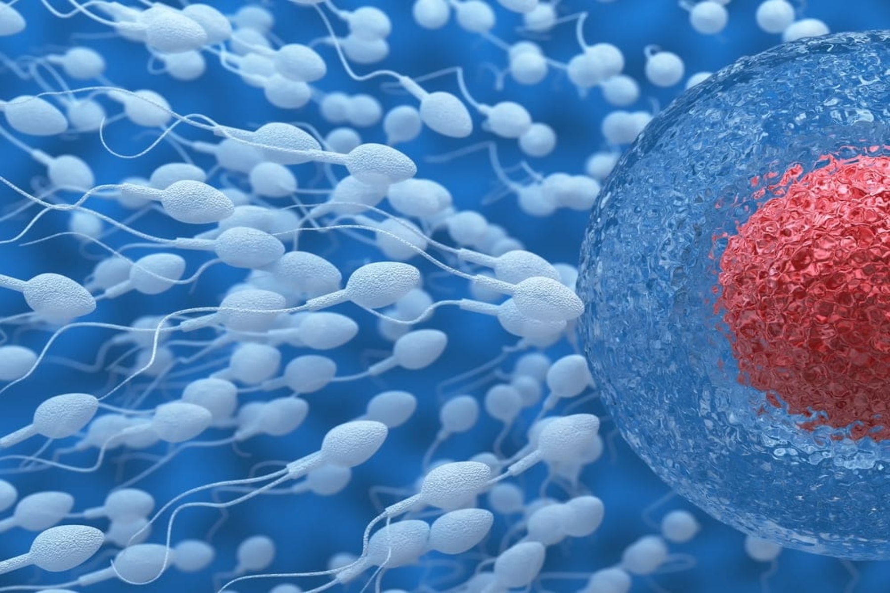 Δωρεά σπέρματος: Λιγότεροι από 4 στους 100 άνδρες φτάνουν στο τέλος της διαδικασίας
