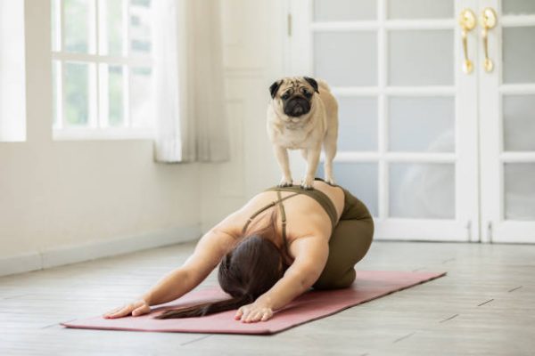Άσκηση: Κάντε προπόνηση με τον σκύλο σας! - Tromaktiko.gr