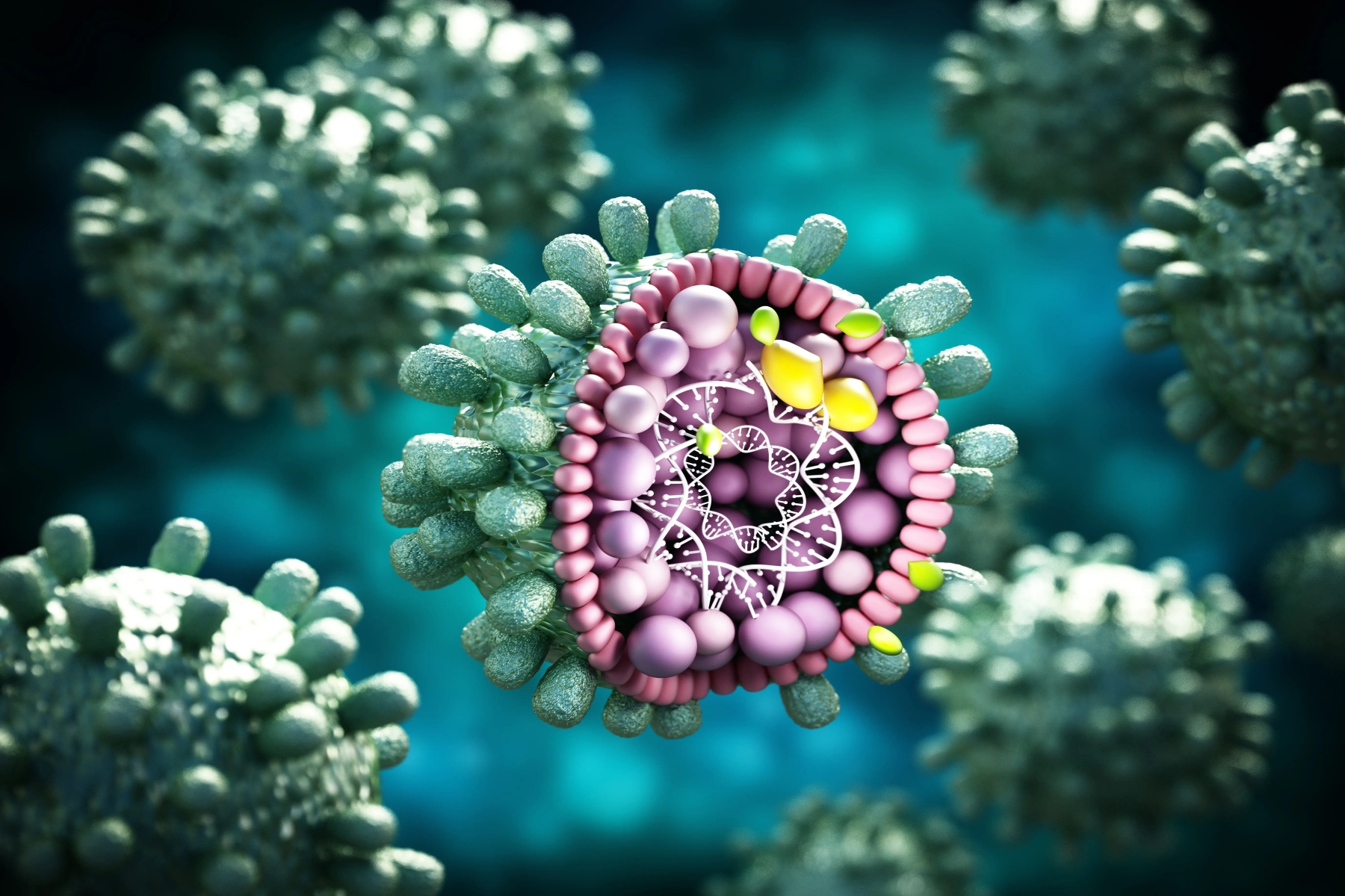 Ηπατίτιδα: Πώς οι ιοί της ηπατίτιδας Ε εισέρχονται στα κύτταρα