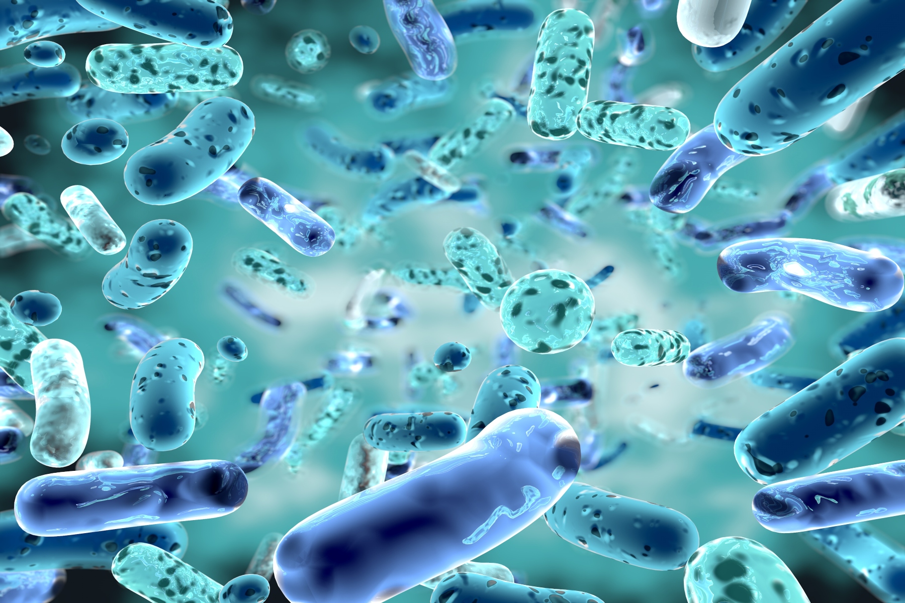 Μικροβίωμα: Πώς μπορεί να επηρεάσει την ανοσολογική απόκριση;