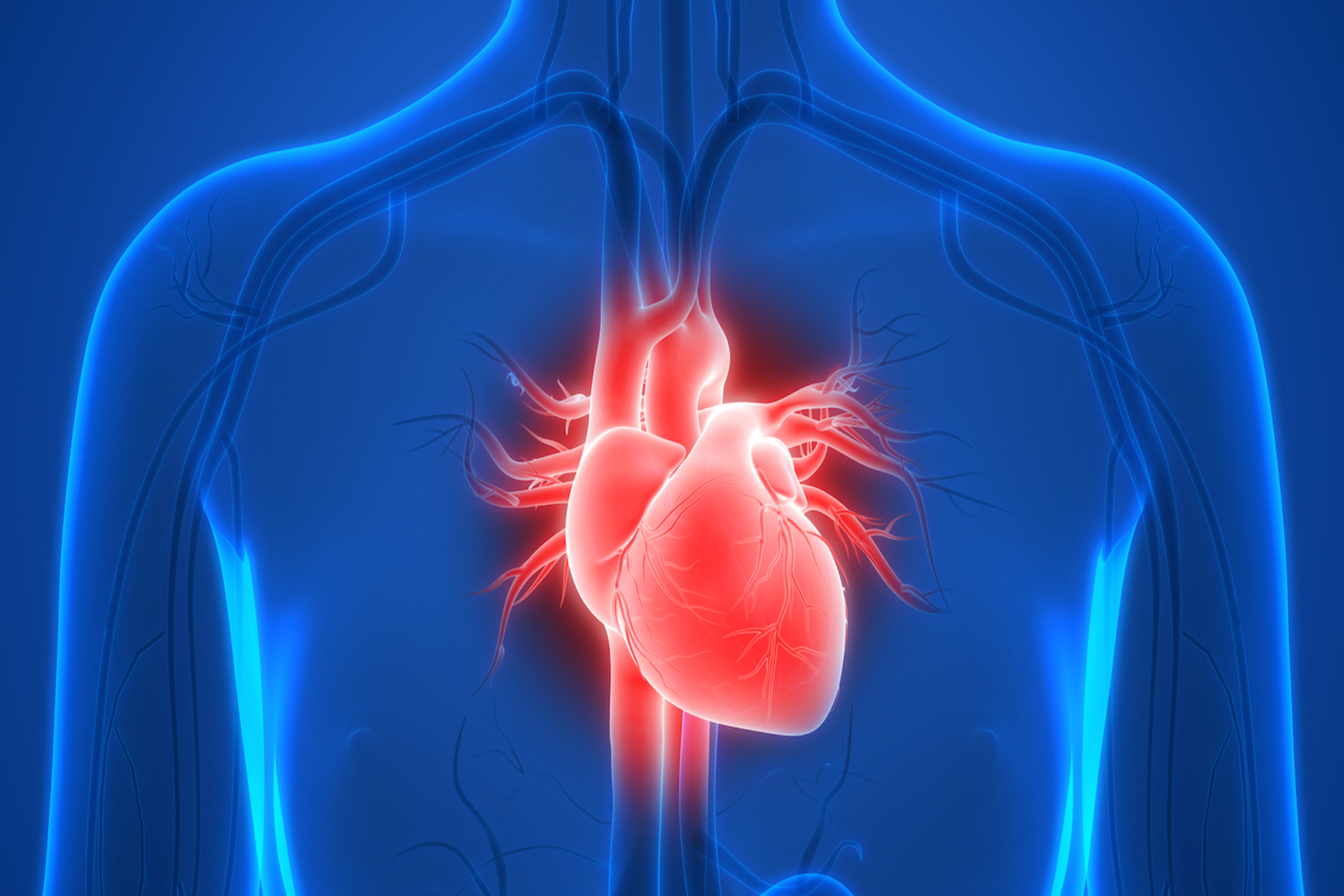 Έρευνα: Οι επιστήμονες επινοούν τρόπους για την διατήρηση της καρδιάς των δωρητών