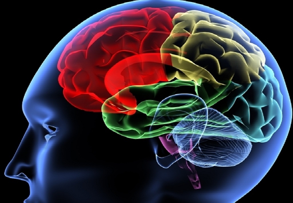 Ουσίες Κατάχρηση: Είναι ο εγκέφαλος διαφορετικά καλωδιωμένος στα άτομα με εθισμό;
