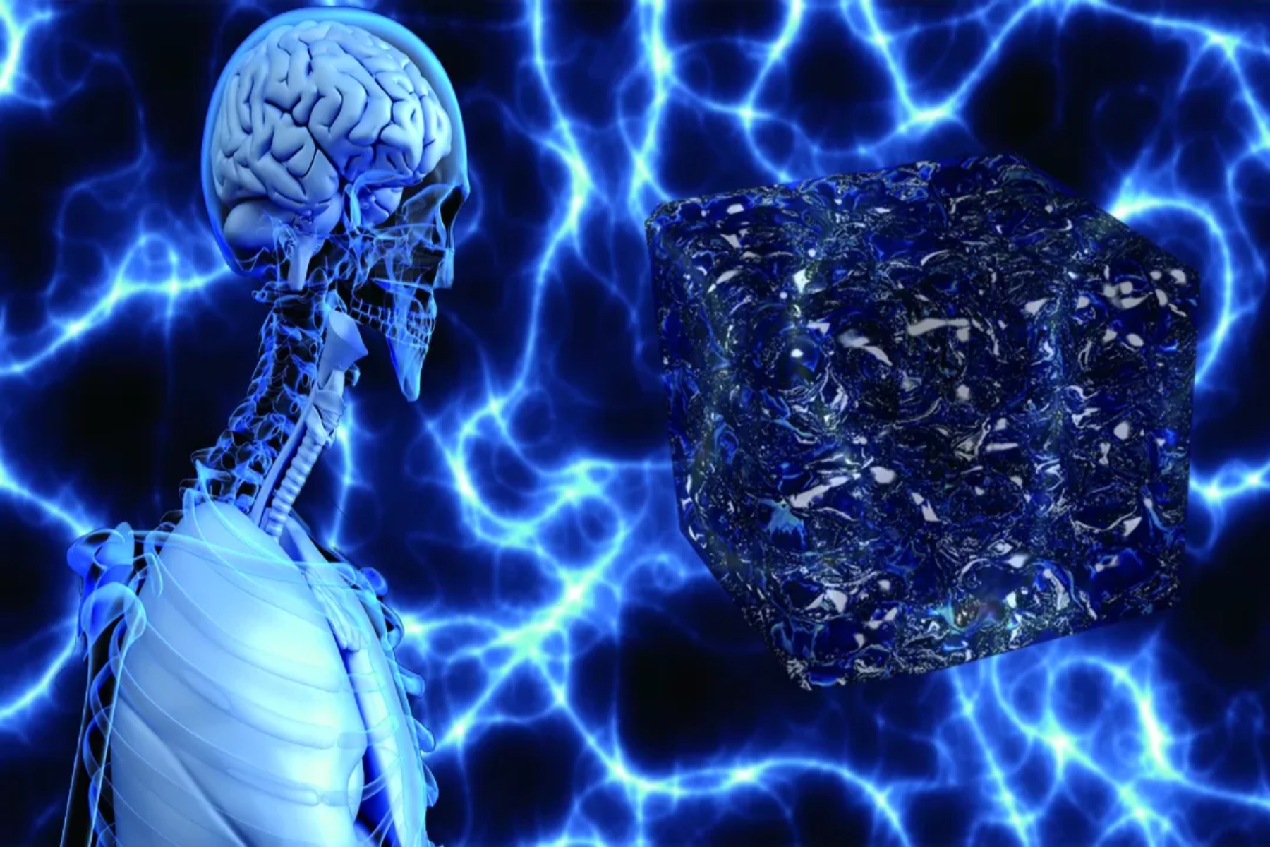 Θεραπεία εγκεφάλου: Η υδρογέλη επιτρέπει την ανάπτυξη νευρωνικού ιστού