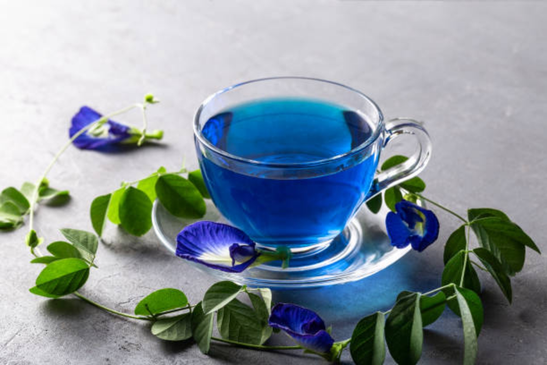 Μπλε τσάι: Γνωρίστε τα απίστευτα οφέλη που προσφέρει στην υγεία