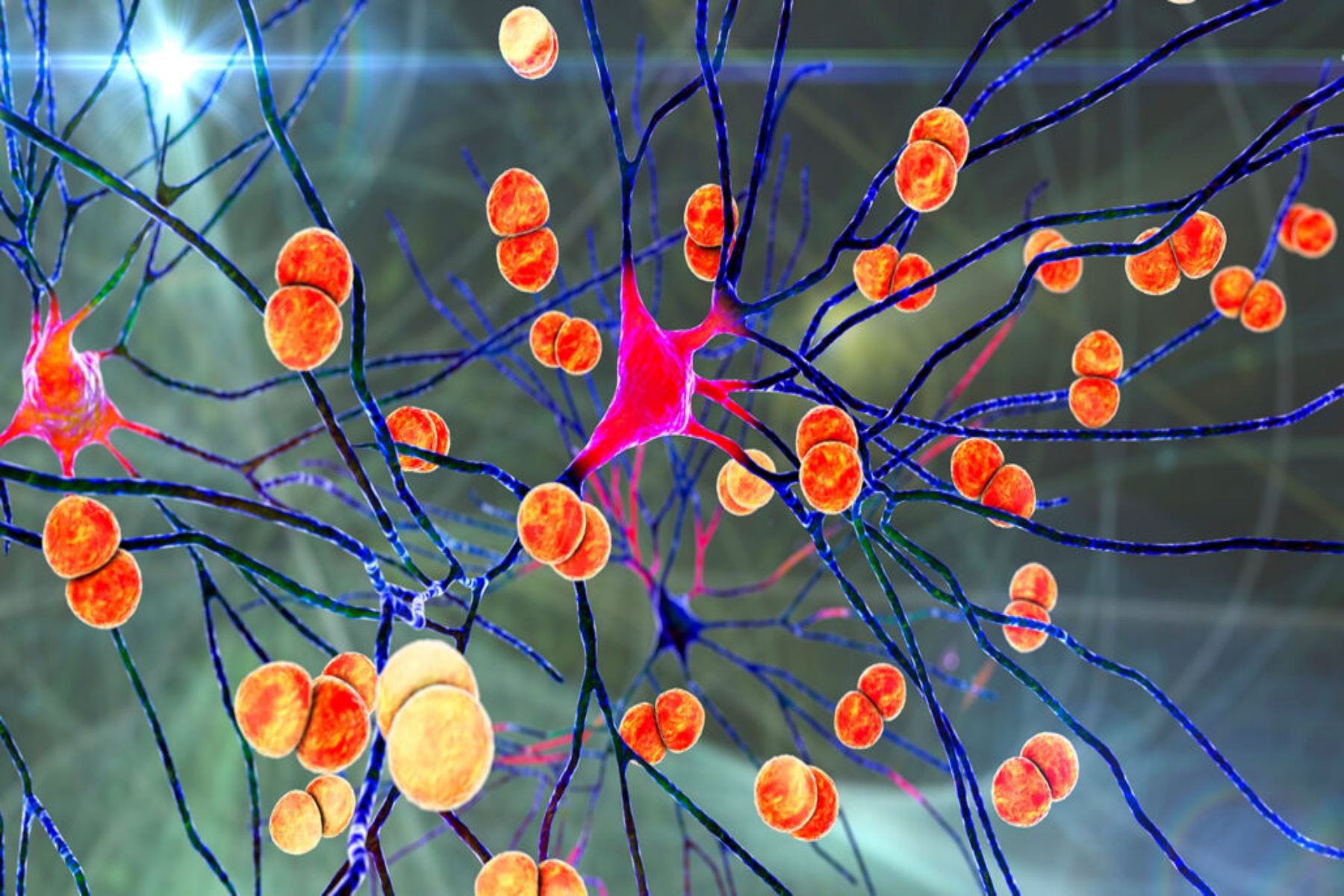 Βακτηριακή λοίμωξη: Πώς τα βακτήρια εισβάλλουν στον εγκέφαλο