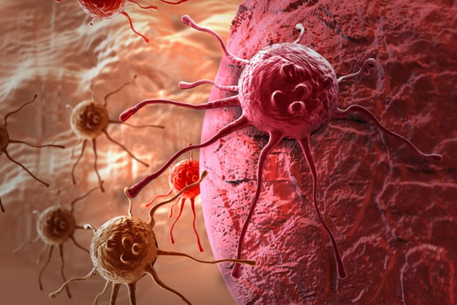 Ανοσοποιητικό: Πώς οι όγκοι μεταμορφώνουν τα αιμοφόρα αγγεία