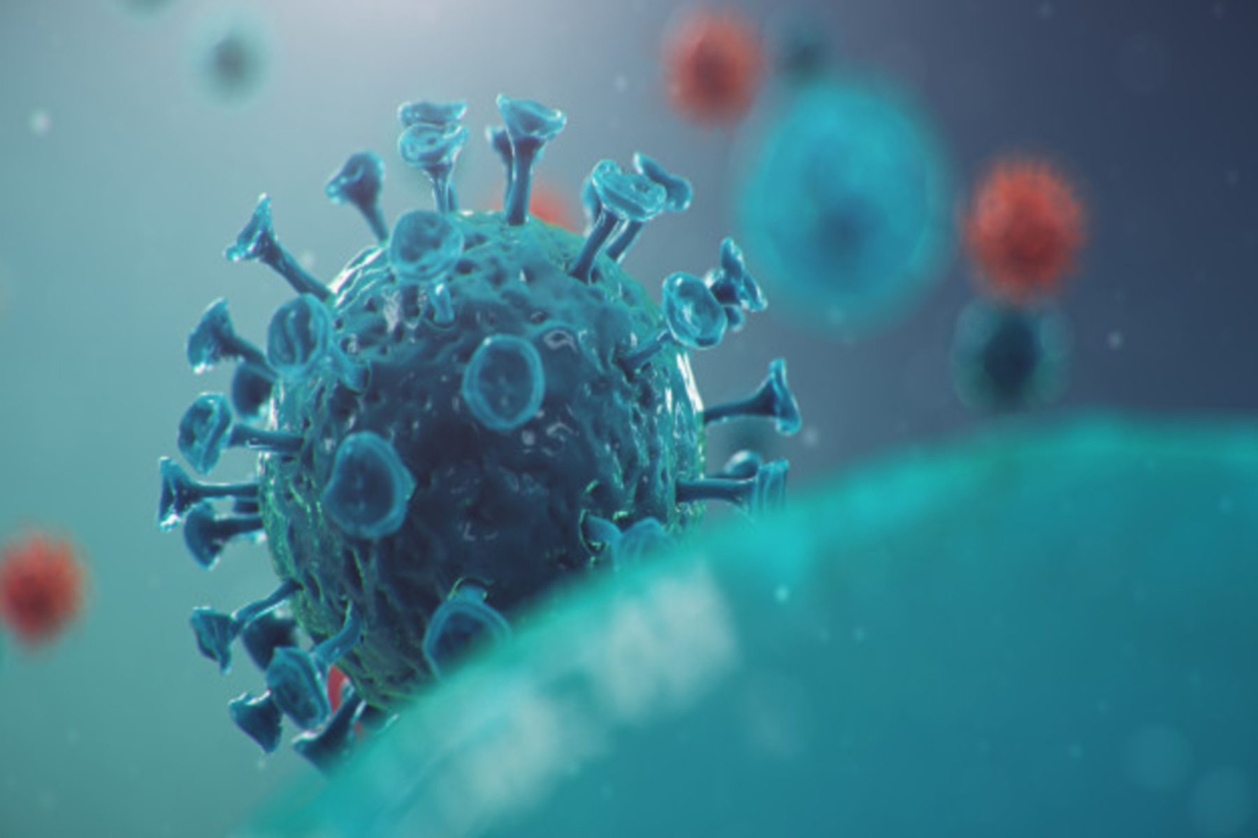 ΕΟΔΥ: 65 θάνατοι από Covid, 75 διασωληνωμένοι – υποχώρηση της γρίπης