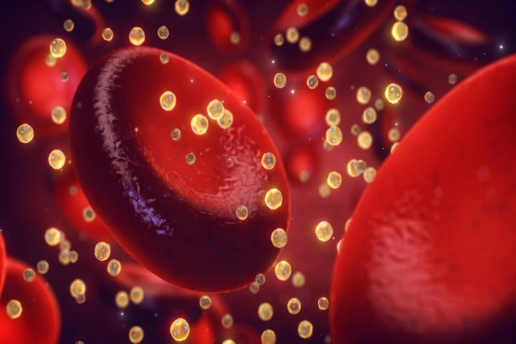 Χοληστερόλη: Σύνδεση μεταξύ HDL και διαφορετικών τύπων καρκίνου