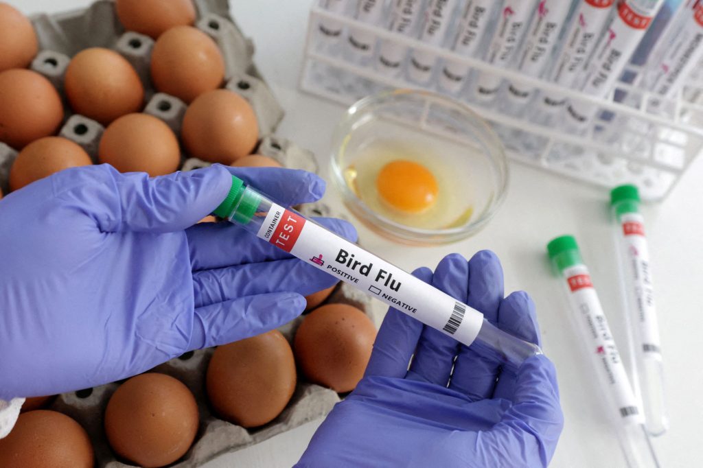 Γρίπη των Πτηνών: “Έτοιμοι” για μια πανδημία της νόσου στον άνθρωπο οι κατασκευαστές εμβολίων