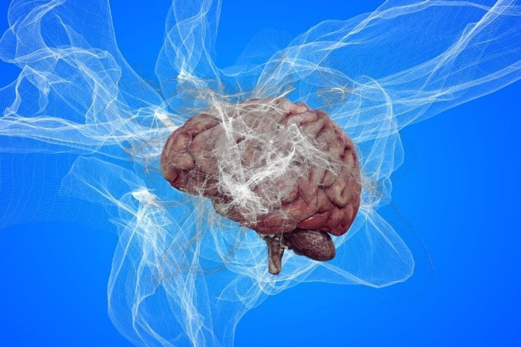 Έρευνα: Η δυσλειτουργία του εγκεφάλου ξεκινάει αργότερα από ό,τι νομίζαμε