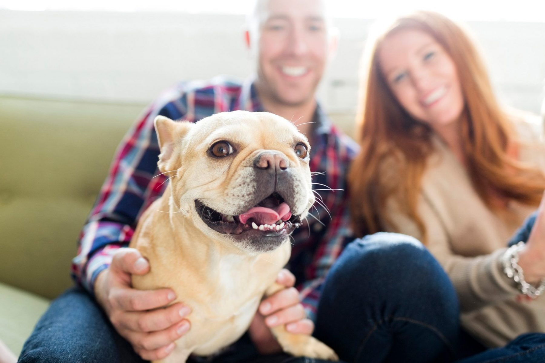 Pet wellness: Συμβουλές ευεξίας που πρέπει να γνωρίζουν όλοι για τα κατοικίδιά τους