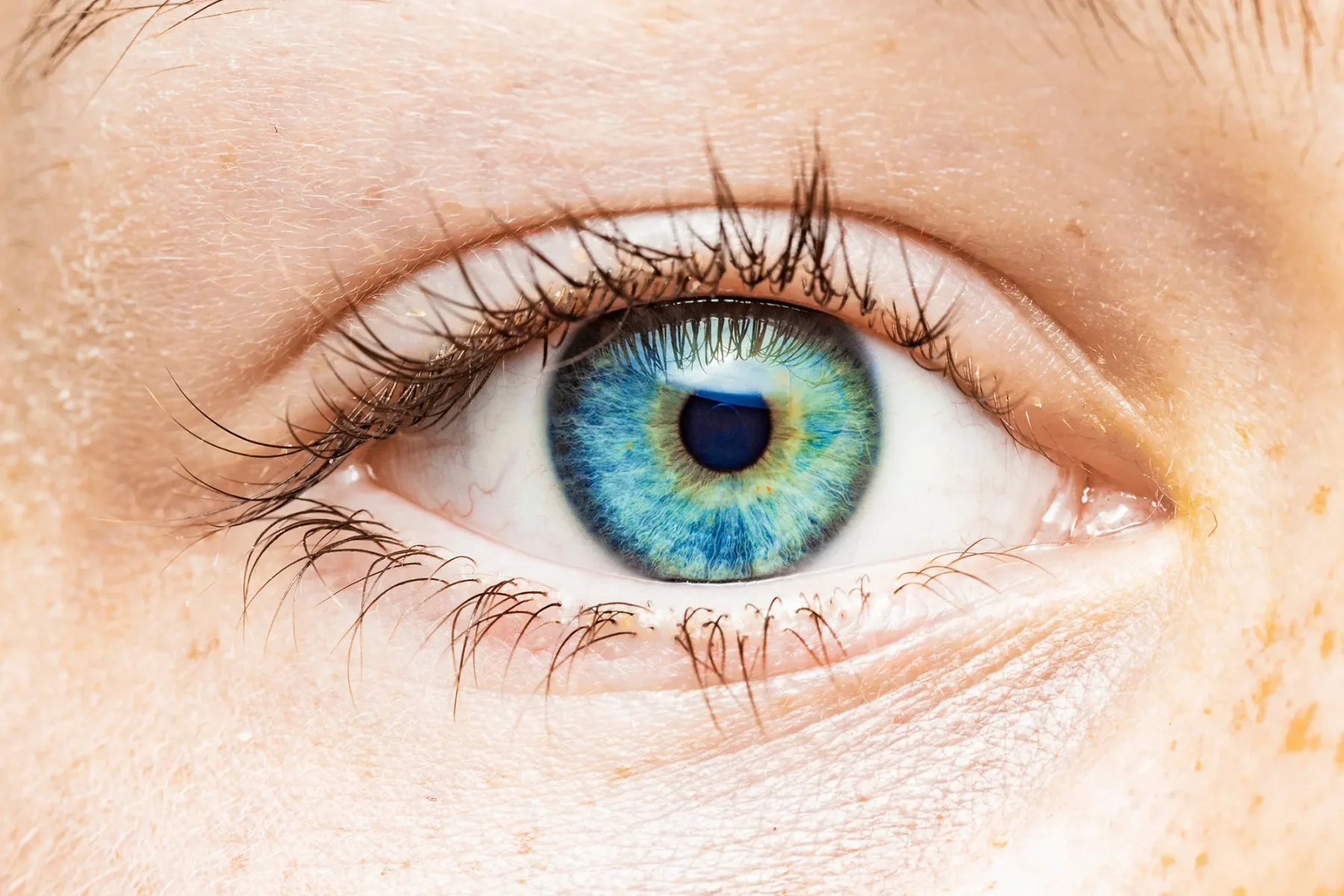 Αμφιβληστροειδής: Τα γονίδια του χρώματος των ματιών κρίσιμα για την υγεία του