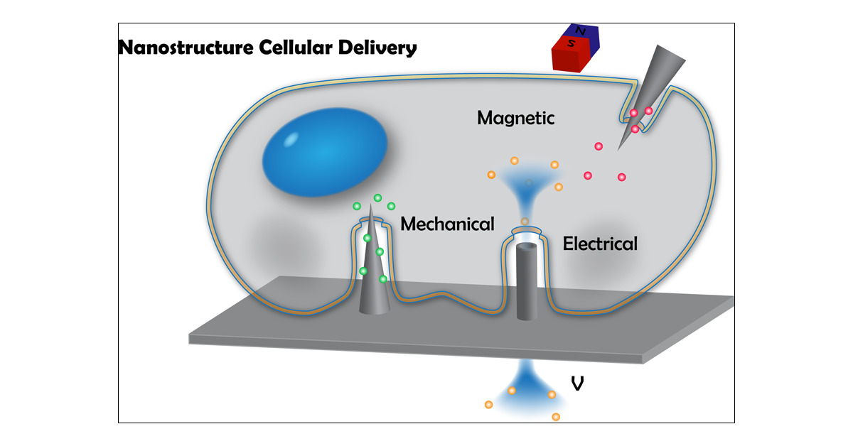 Ανιχνευτής Κύτταρα: Ανακαλύφθηκε νέος ενδοκυτταρικός αισθητήρας προειδοποίησης βλαβών στα μιτοχόνδρια
