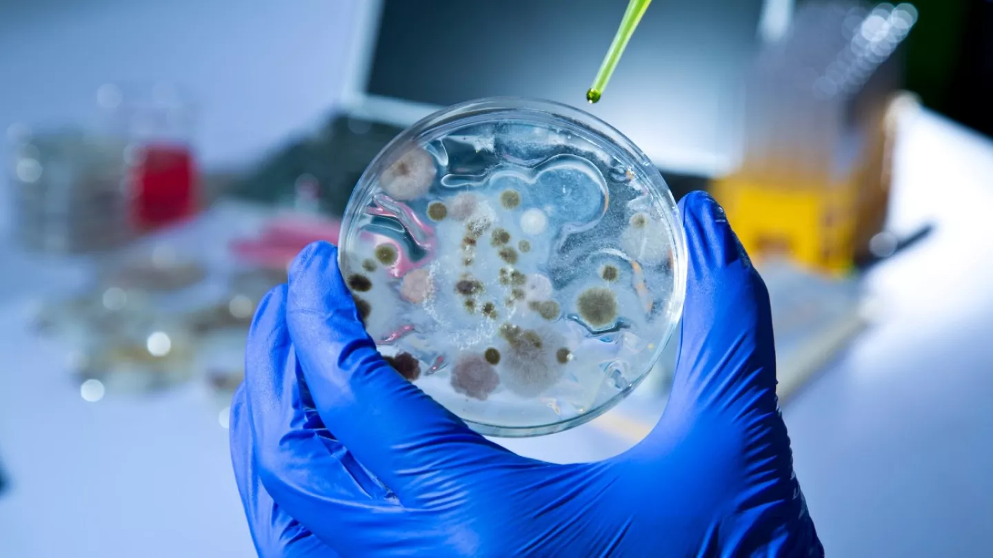 Πλανήτης Υπερθέρμανση: Οι επιστήμονες προειδοποιούν για αύξηση των δυνητικά θανατηφόρων βακτηριακών λοιμώξεων