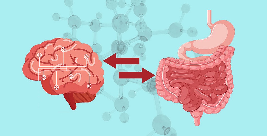 Διατροφή: Πως συνδέεται το έντερο με τον εγκέφαλο
