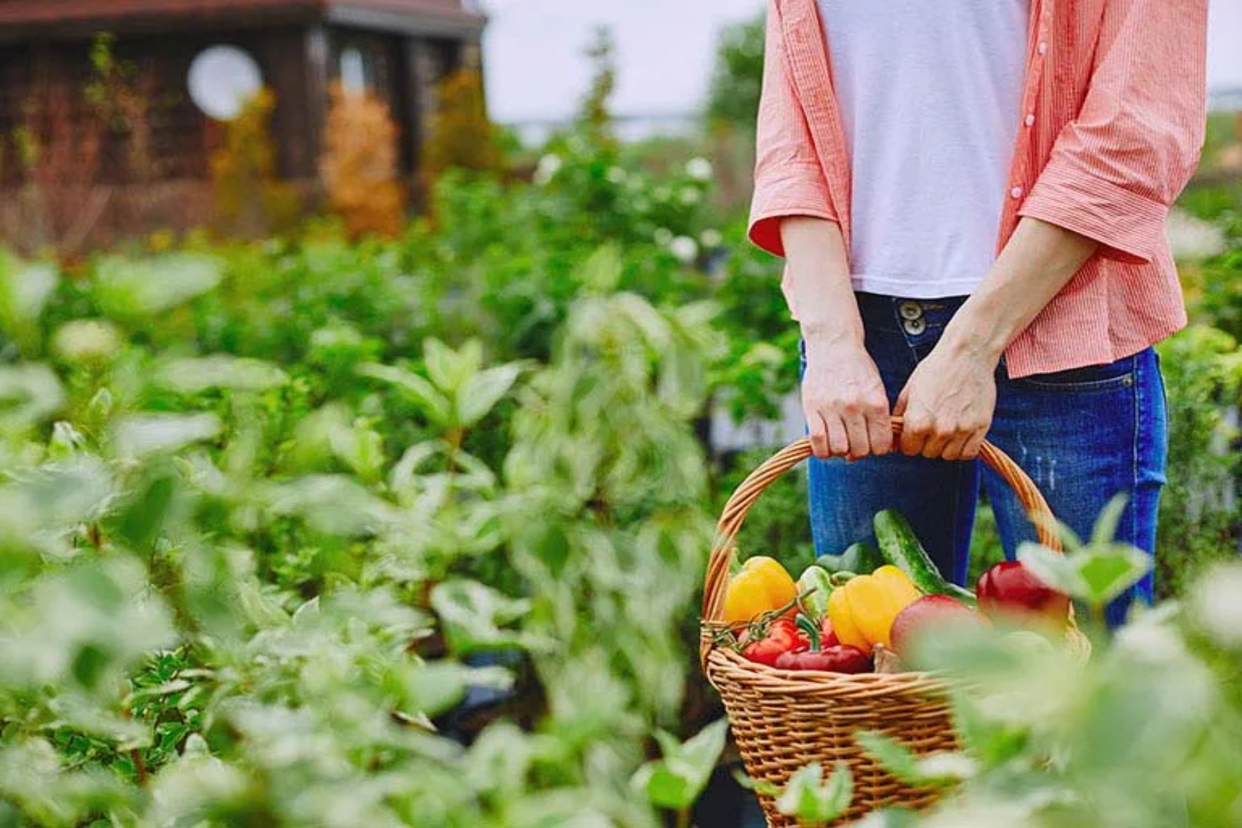 Eco-living: Οφέλη για την υγεία από την κατανάλωση εποχιακών τροφίμων