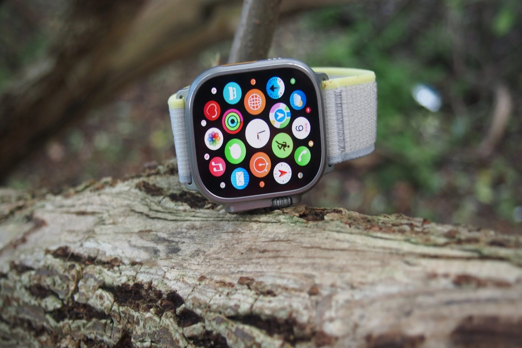 iPhone: Σχεδόν το 80% των χρηστών έχουν πλέον Apple Watch
