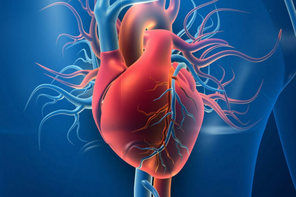  Ποιοι είναι οι λόγοι που προκαλείται η καρδιαγγειακή νόσος;