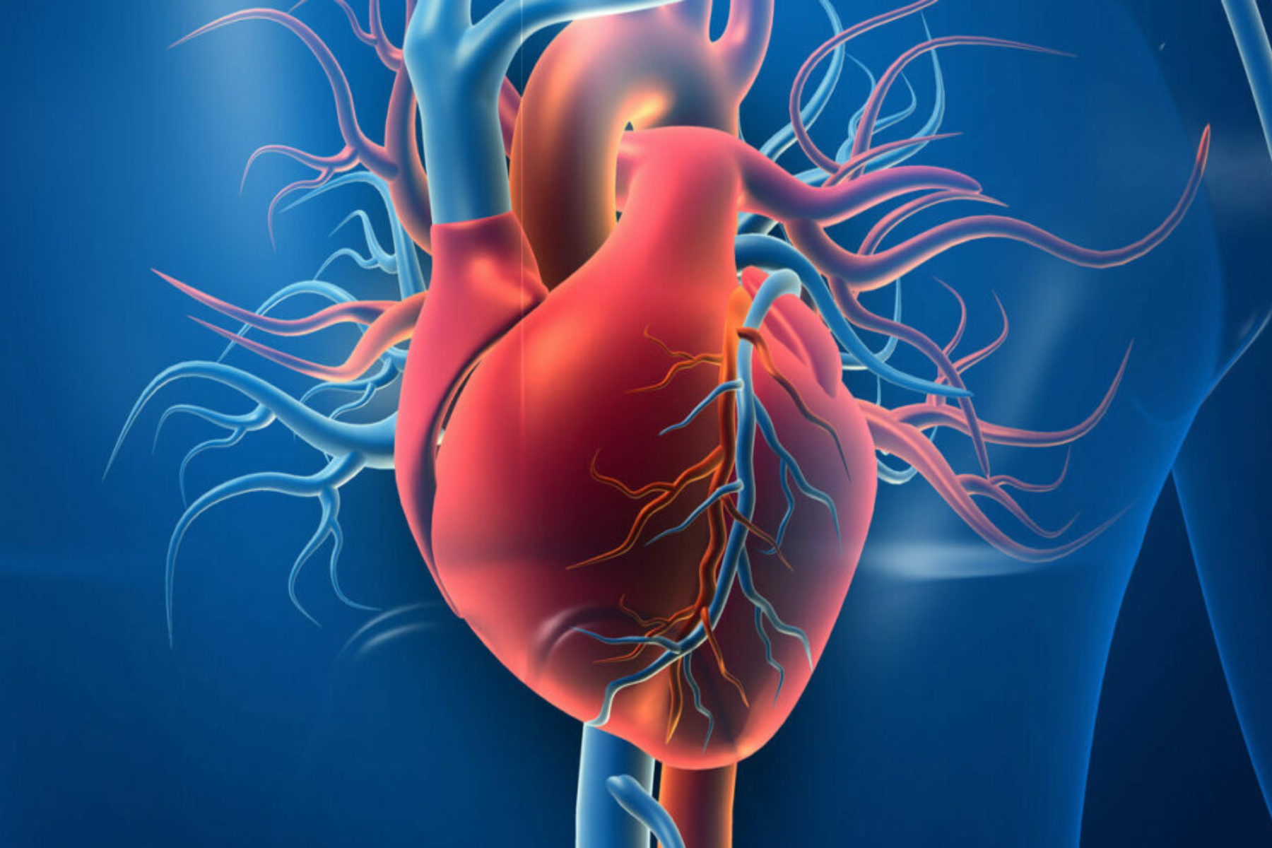Καρδιακές παθήσεις: Ποιοι είναι οι λόγοι που προκαλείται η καρδιαγγειακή νόσος;