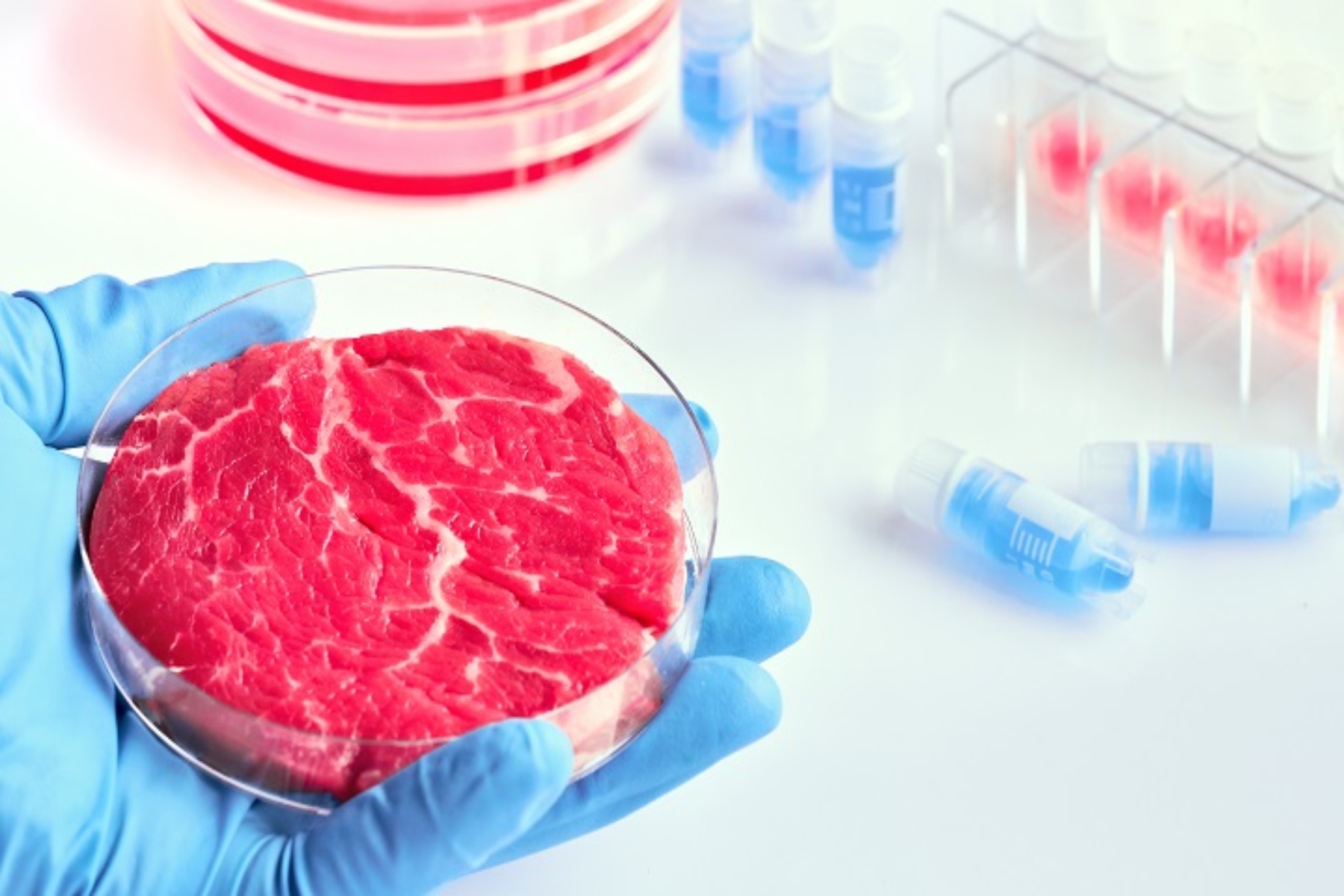 Κυτταρική κτηνοτροφία: Πρόκειται για το μέλλον της διατροφής;