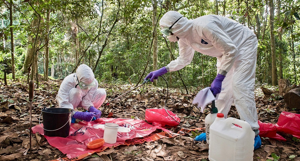 Στη ζούγκλα του Μεξικό, οι επιστήμονες προετοιμάζονται για μελλοντικές πανδημίες