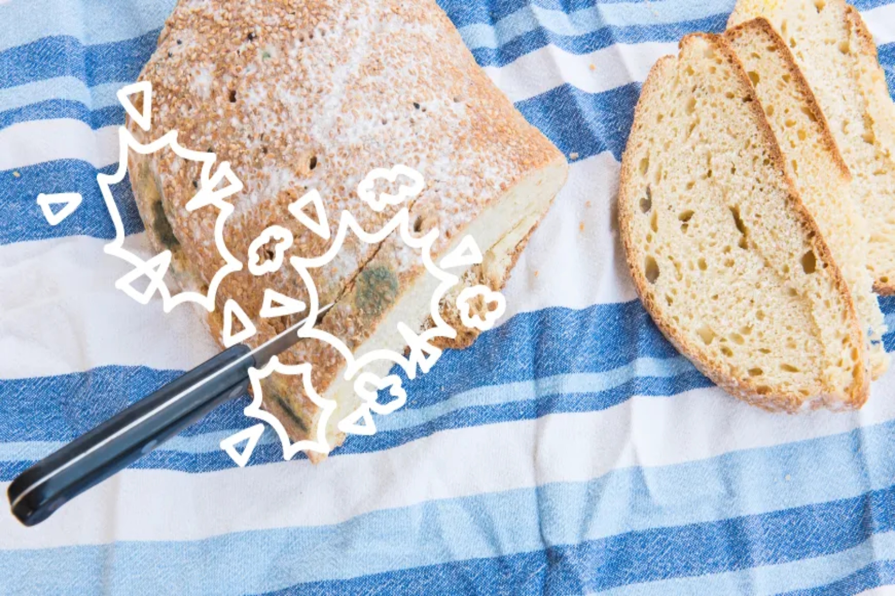 Ασφάλεια τροφίμων: Μπορούμε απλά να αφαιρέσουμε τη μούχλα από το ψωμί μας;