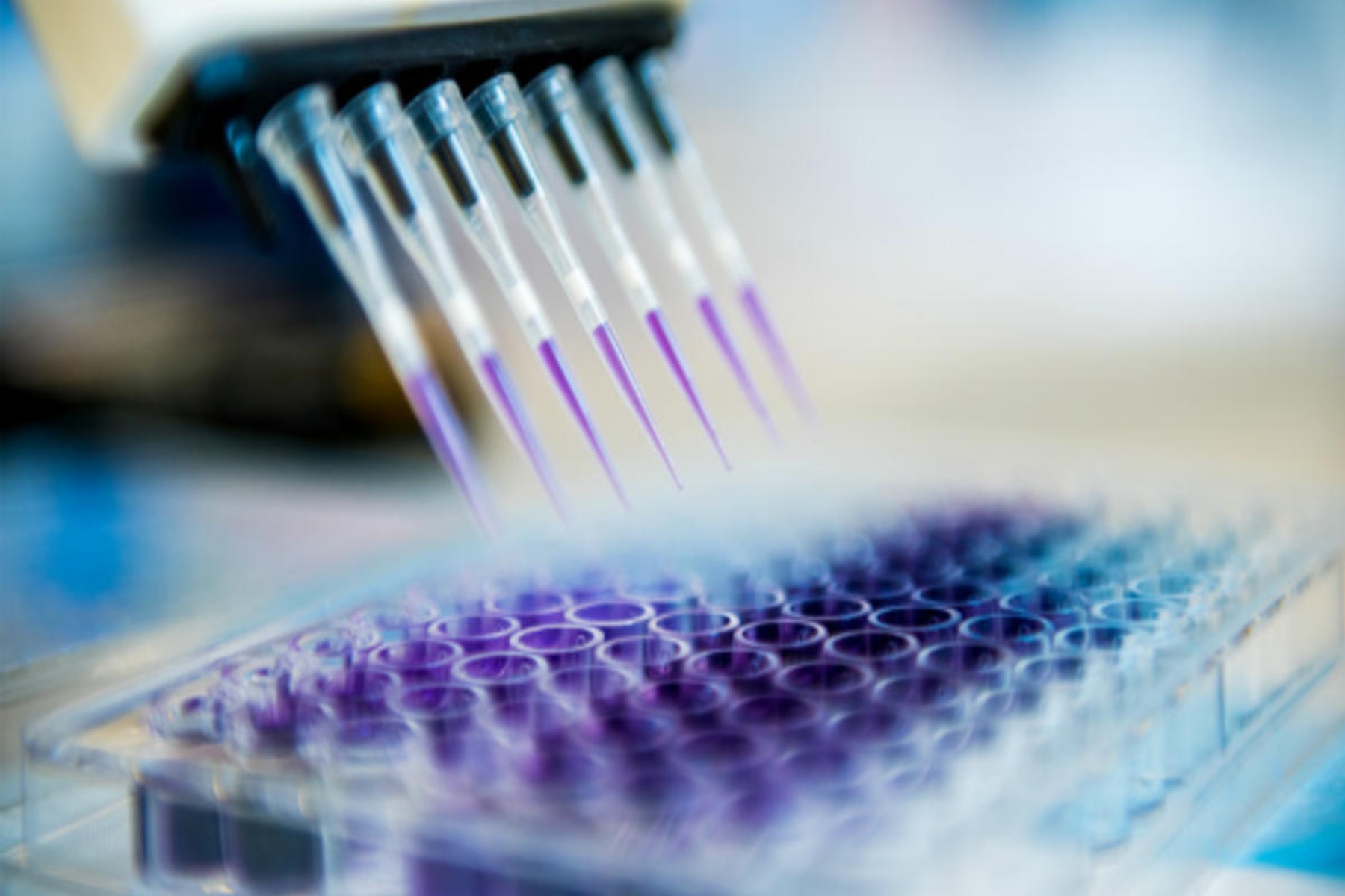 Λέπρα: Γονιδιωματική ανάλυση βρίσκει γονίδια που σχετίζονται με τη λέπρα