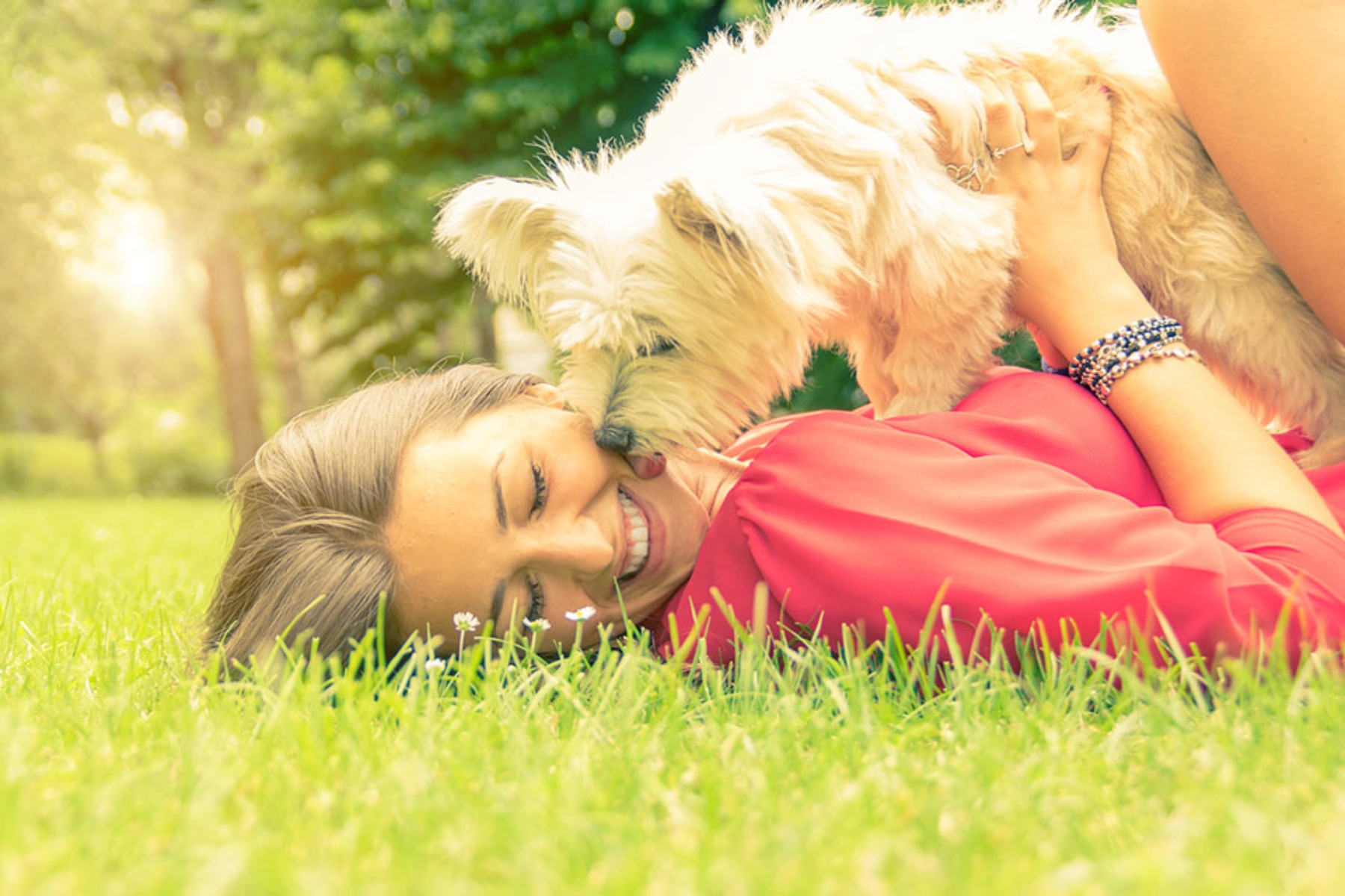 Ωκυτοκίνη: Πώς το αγκάλιασμα του σκύλου σας είναι καλό για την υγεία σας