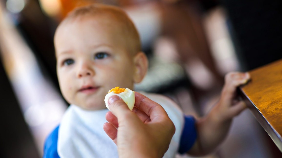 Τροφική Αλλεργία: Ερευνητές στο Πανεπιστήμιο της Χιροσίμα  δημιούργησαν αυγά κότας ασφαλή για όλους