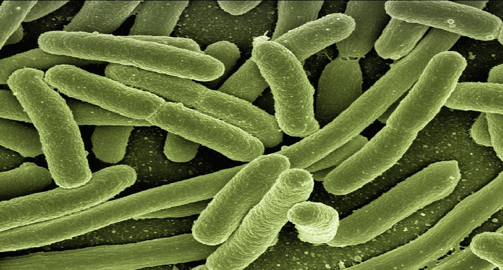 Ακτινοβακτηρίδιο του Baumannii: Το ανθεκτικό στα αντιβιοτικά βακτήριο μολύνει ολόκληρη τη ΜΕΘ, δείχνει μελέτη
