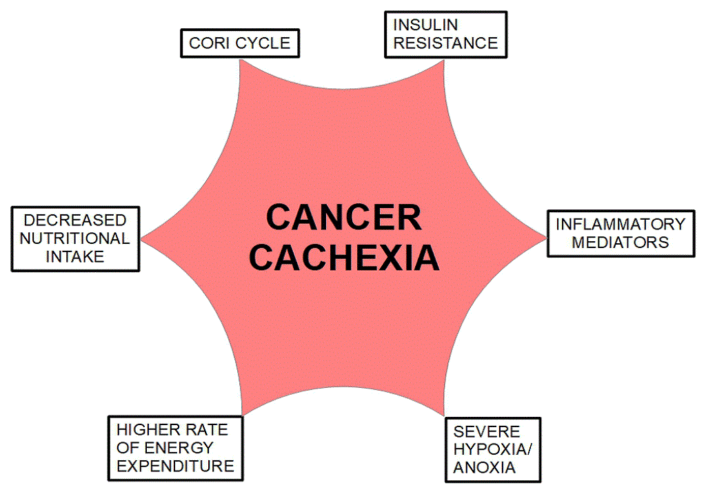 Καχεξία λόγω Kαρκίνου: Αποκαλύφθηκε ένας ασύλληπτος μηχανισμός του συνδρόμου εξάντλησης
