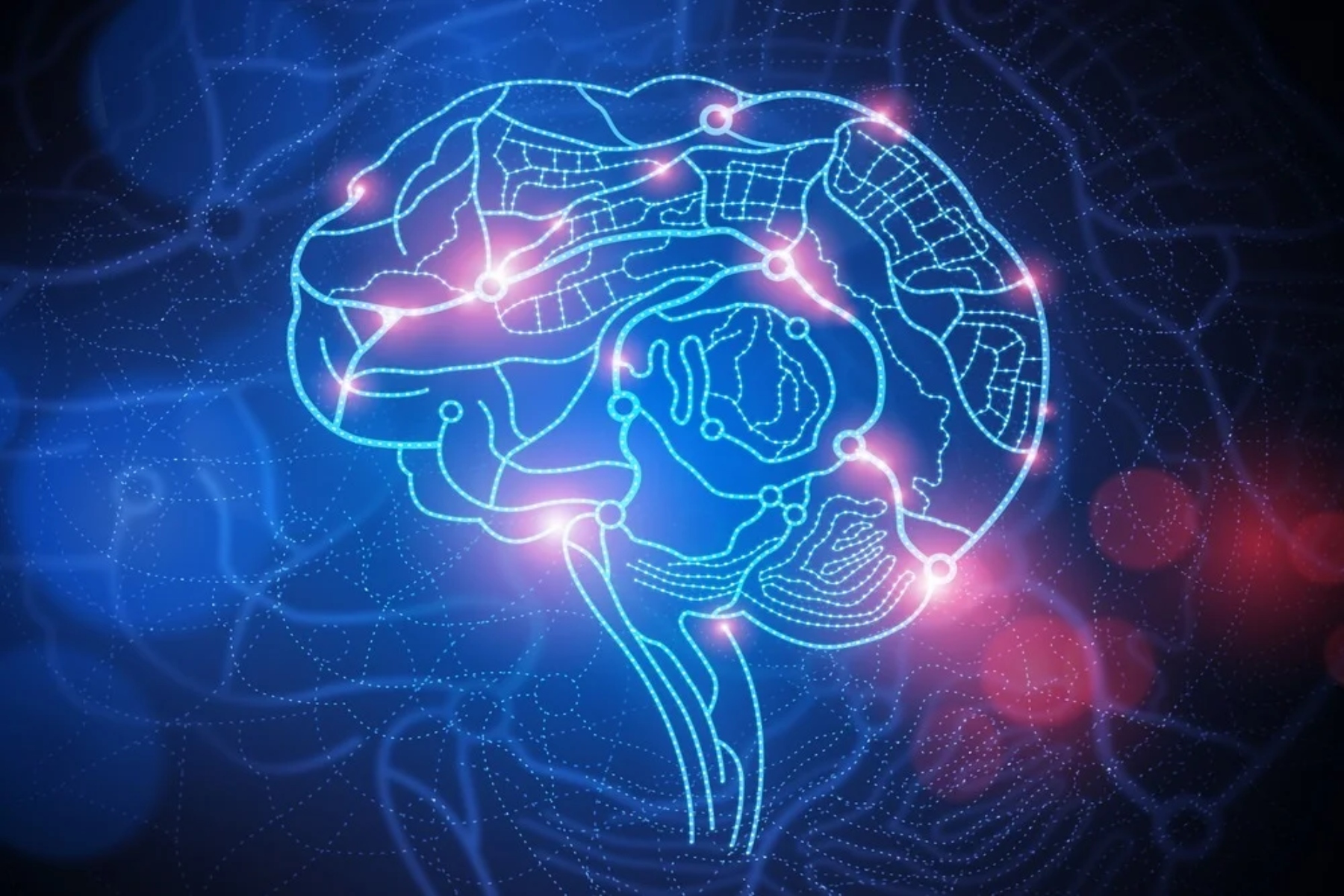 Εγκέφαλος: Πώς ο εγκέφαλος συνδέει τις κινήσεις των χεριών με τις αισθητηριακές πληροφορίες;