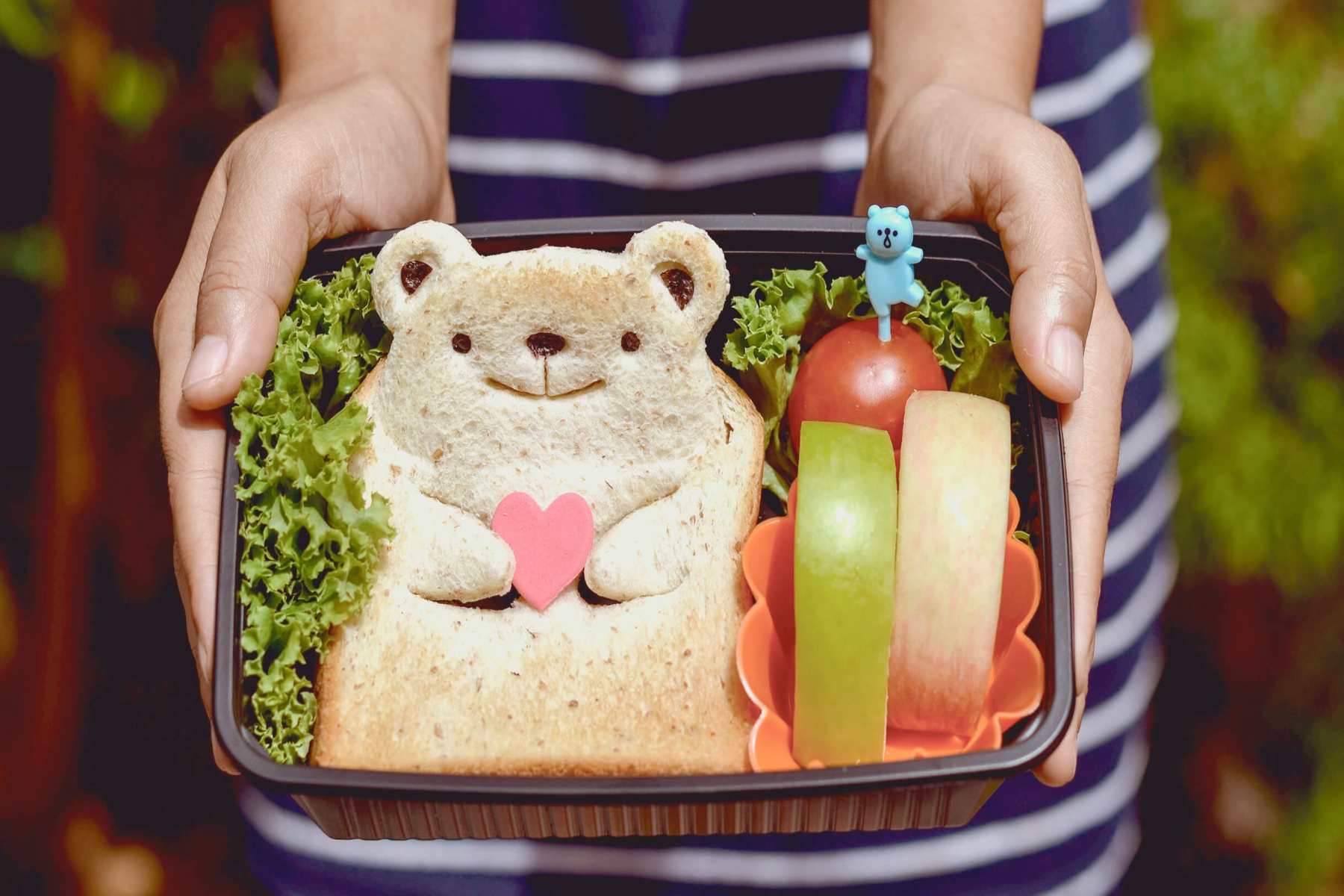 Σχολικά γεύματα: Η τέχνη της συσκευασίας υγιεινών σχολικών γευμάτων