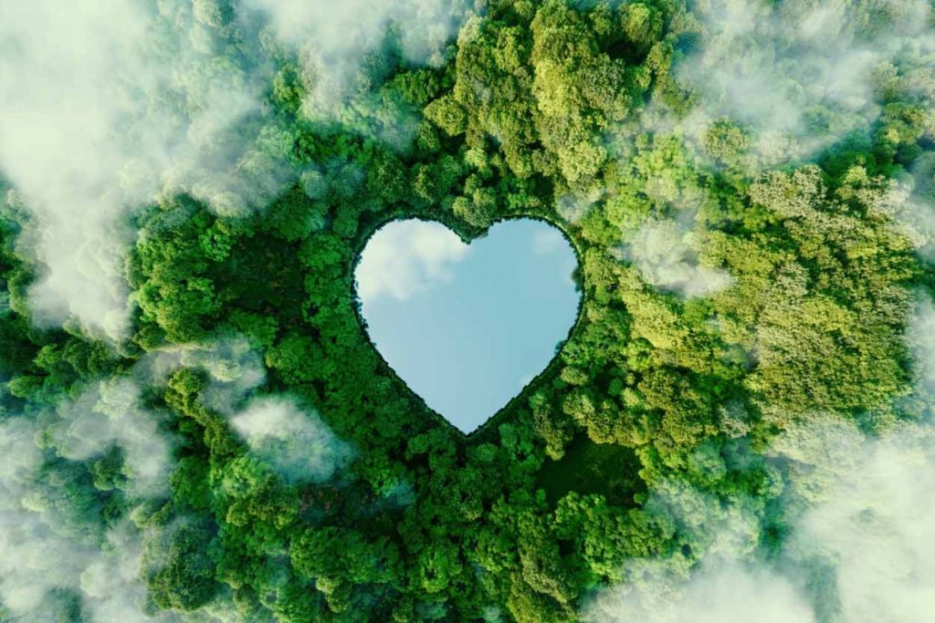 Πώς μπορεί η φροντίδα της καρδιάς να είναι πιο πράσινη;