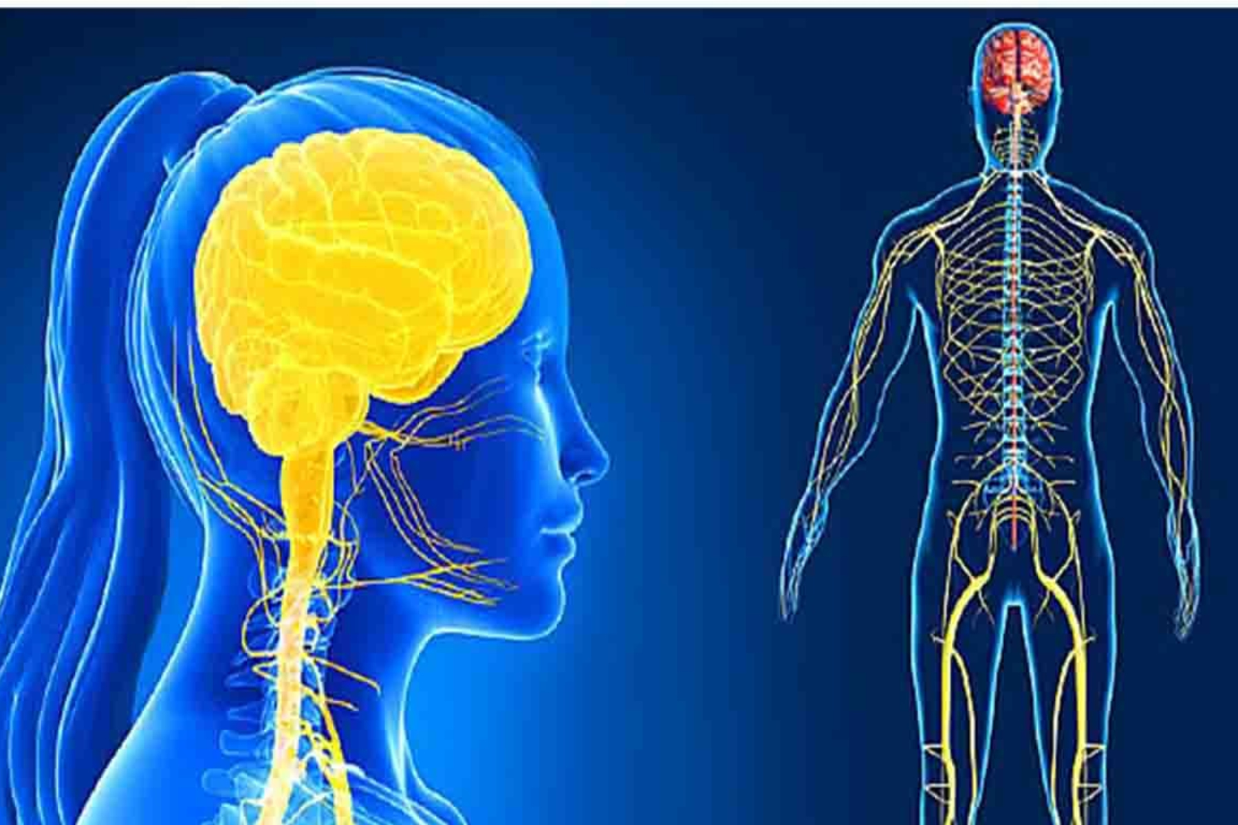 Νευροεπιστήμη: Η COVID-19 μπορεί να οδηγήσει σε χρόνια νευρολογικά προβλήματα;