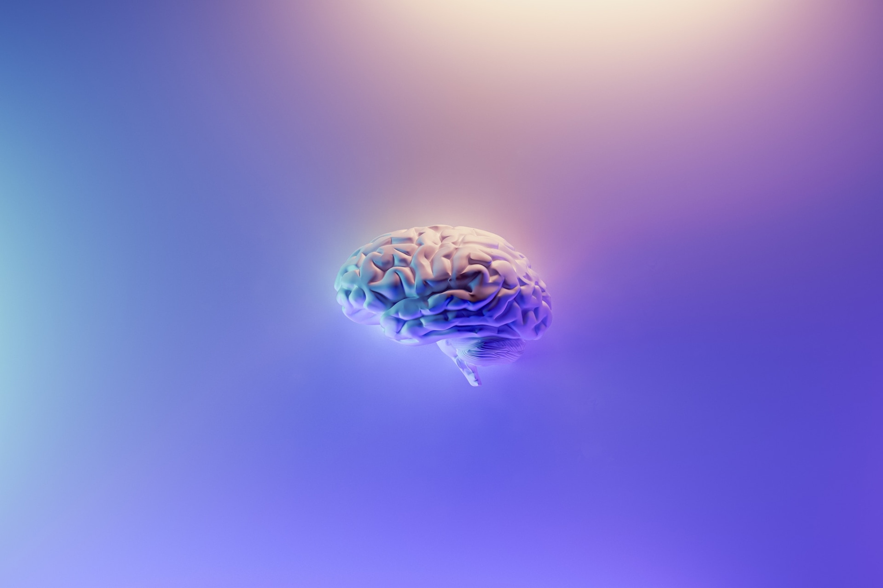 Δραστηριότητα εγκέφαλος: Διασκεδαστικές δραστηριότητες για να διατηρήσετε τον εγκέφαλό σας σε εκγρήγορση