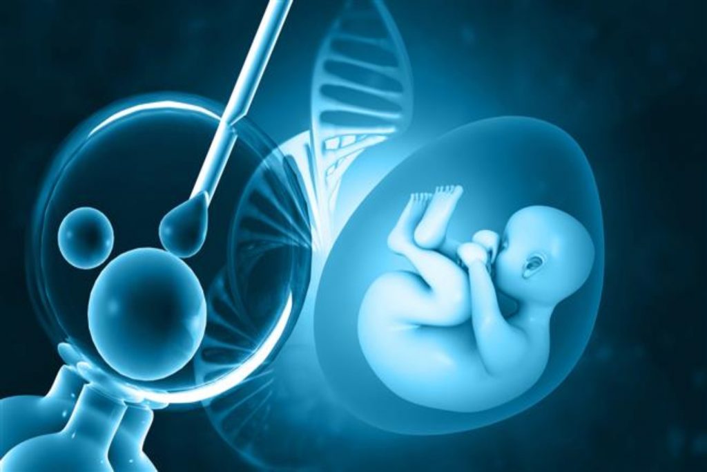 Επιστήμονες ανακοίνωσαν τη δημιουργία συνθετικών μοντέλων ανθρώπινων εμβρύων