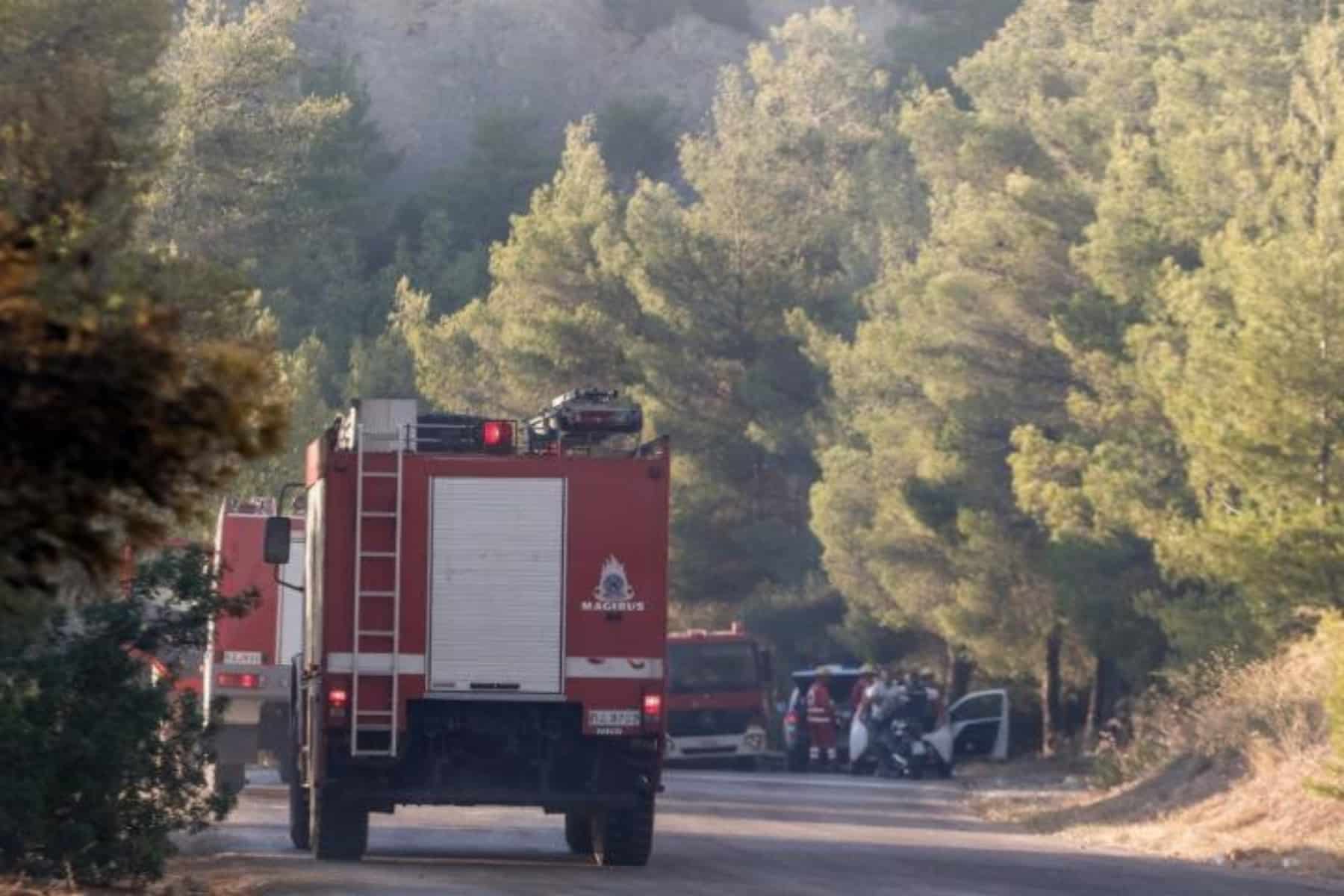 Φωτιά τώρα: Πυρκαγιά έχει ξεσπάσει στο Κοκκινοχώρι Καβάλας