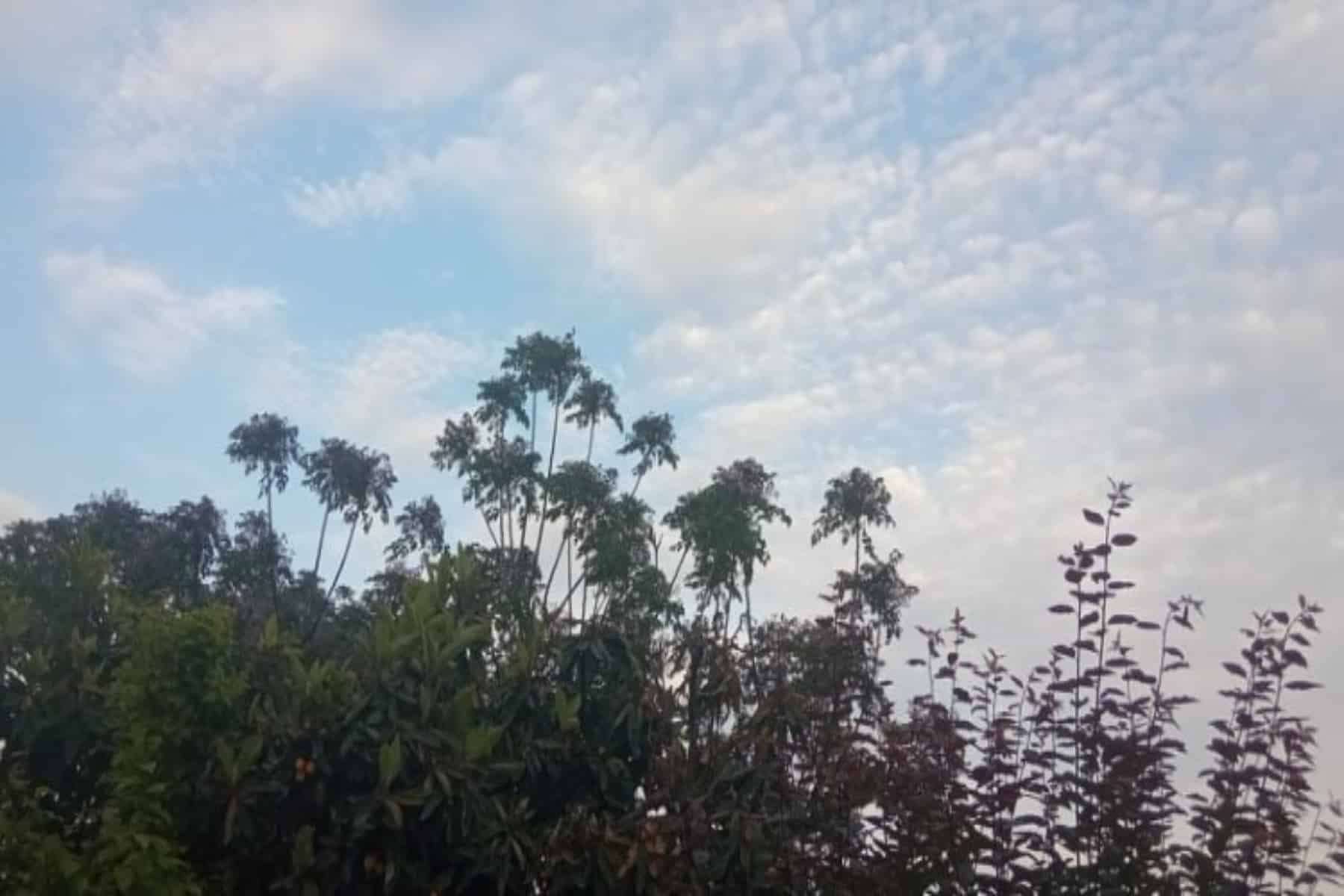Καιρός 19/6: Ξεκινάει επιτέλους το καλοκαίρι από σήμερα με ελάχιστες βροχές