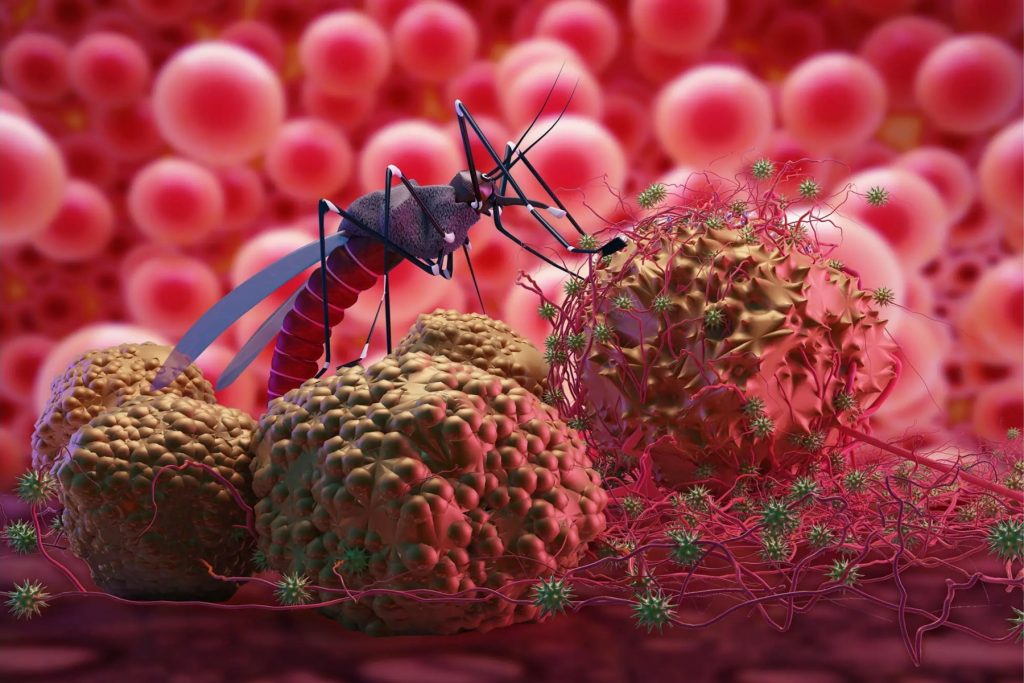 Το CDC προειδοποιεί για τα πρώτα τοπικά κρούσματα ελονοσίας στις ΗΠΑ τα τελευταία 20 χρόνια