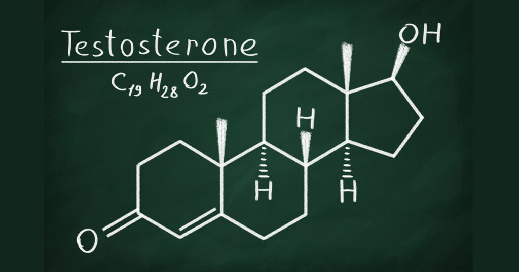Πως επιδρά η τεστοστερόνη στον εγκέφαλο όσο μεγαλώνουμε 