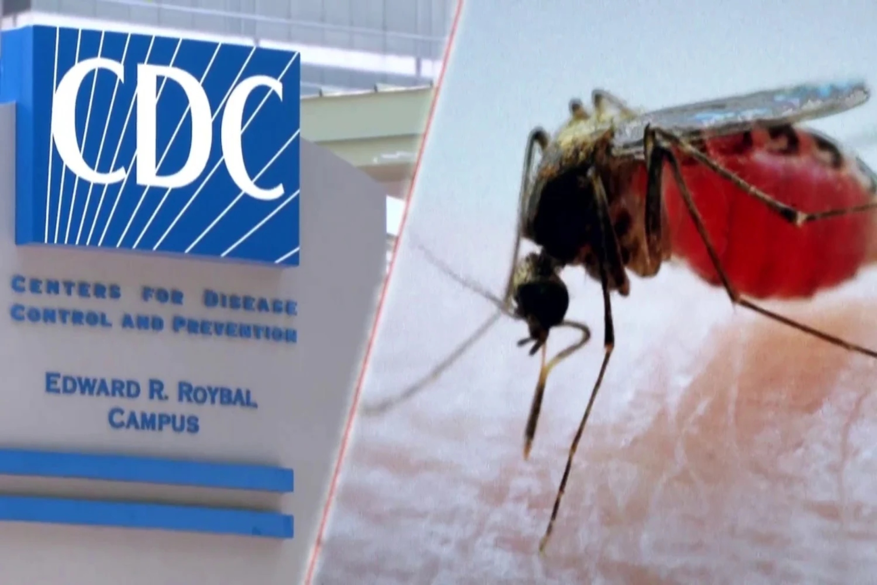 Ελονοσία ΗΠΑ: 7ο κρούσμα ελονοσίας στη Φλόριντα